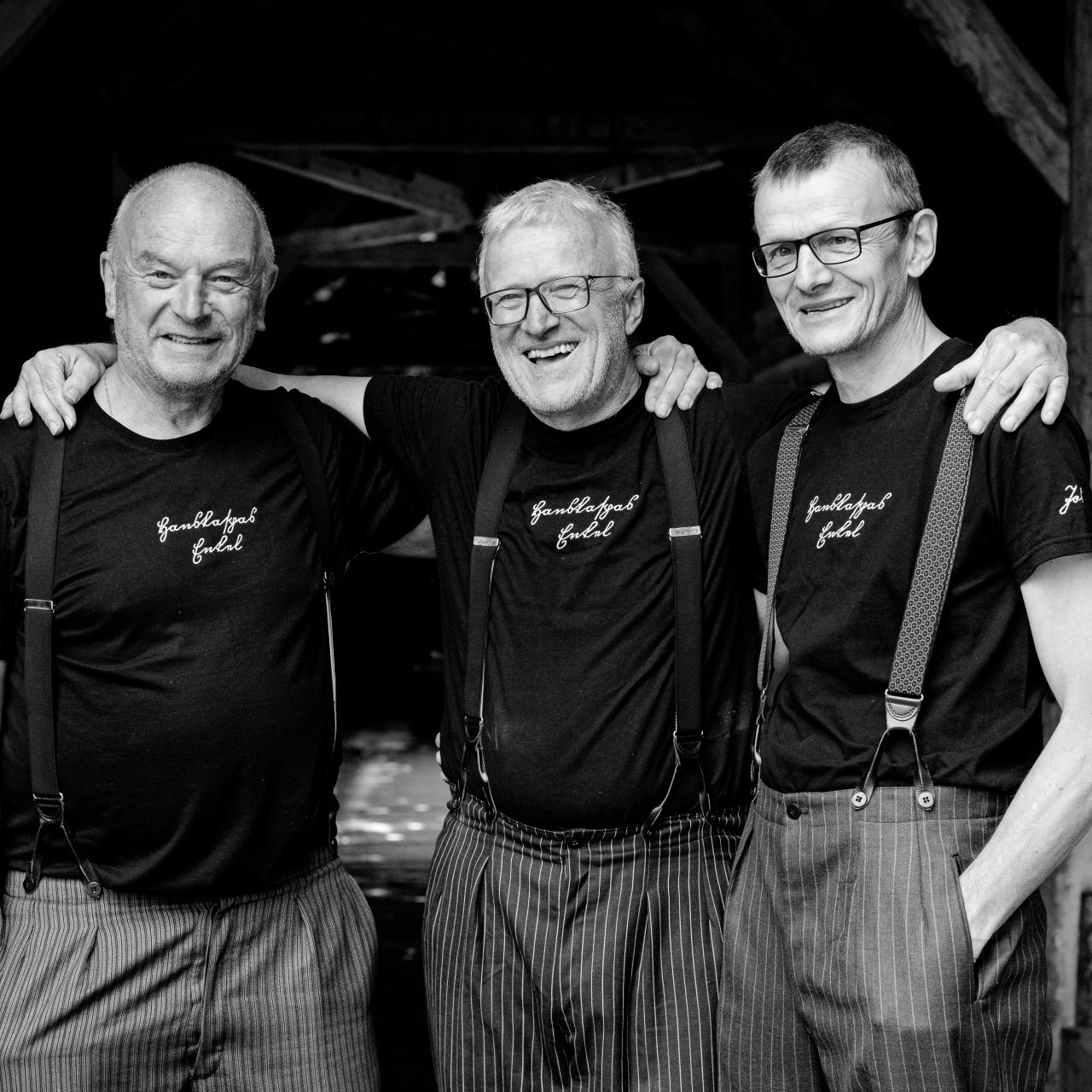 Konzert mit Hanskaspars Enkel
